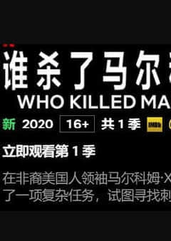 2018纪录片《谁杀了马尔科姆X》迅雷下载_中文完整版_百度云网盘720P|1080P资源