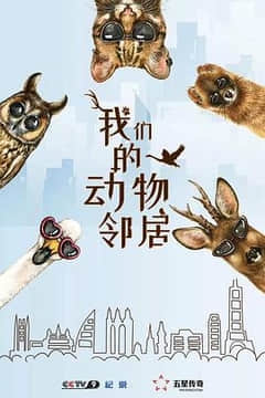 2018纪录片《我们的动物邻居》迅雷下载_中文完整版_百度云网盘720P|1080P资源