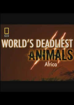 2018纪录片《世界致命动物：非洲》迅雷下载_中文完整版_百度云网盘720P|1080P资源