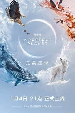 2018纪录片《完美星球》迅雷下载_中文完整版_百度云网盘720P|1080P资源