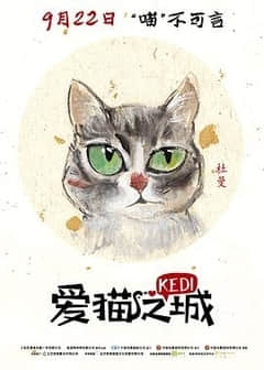 2018纪录片《爱猫之城（普通话）》迅雷下载_中文完整版_百度云网盘720P|1080P资源