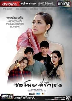 2018泰国剧《对不起，我爱你（泰语版）》迅雷下载_中文完整版_百度云网盘720P|1080P资源