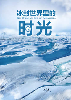 2018纪录片《冰封世界里的时光》迅雷下载_中文完整版_百度云网盘720P|1080P资源