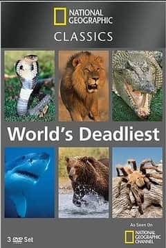 2018纪录片《世界致命动物系列：非洲篇》迅雷下载_中文完整版_百度云网盘720P|1080P资源