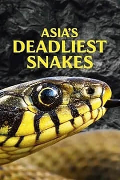 2018纪录片《Asias Deadliest Snakes 2011》迅雷下载_中文完整版_百度云网盘720P|1080P资源