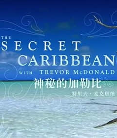 2018纪录片《神秘的加勒比》迅雷下载_中文完整版_百度云网盘720P|1080P资源