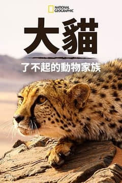2018纪录片《猫科动物：奇妙的动物家族》迅雷下载_中文完整版_百度云网盘720P|1080P资源