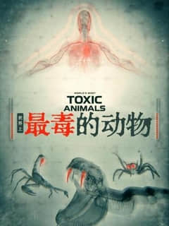 2018纪录片《世界上最毒的动物》迅雷下载_中文完整版_百度云网盘720P|1080P资源
