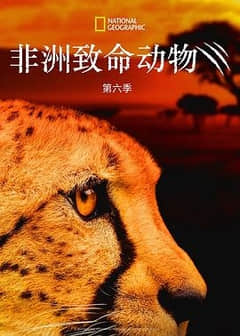 2018纪录片《非洲致命动物第六季》迅雷下载_中文完整版_百度云网盘720P|1080P资源